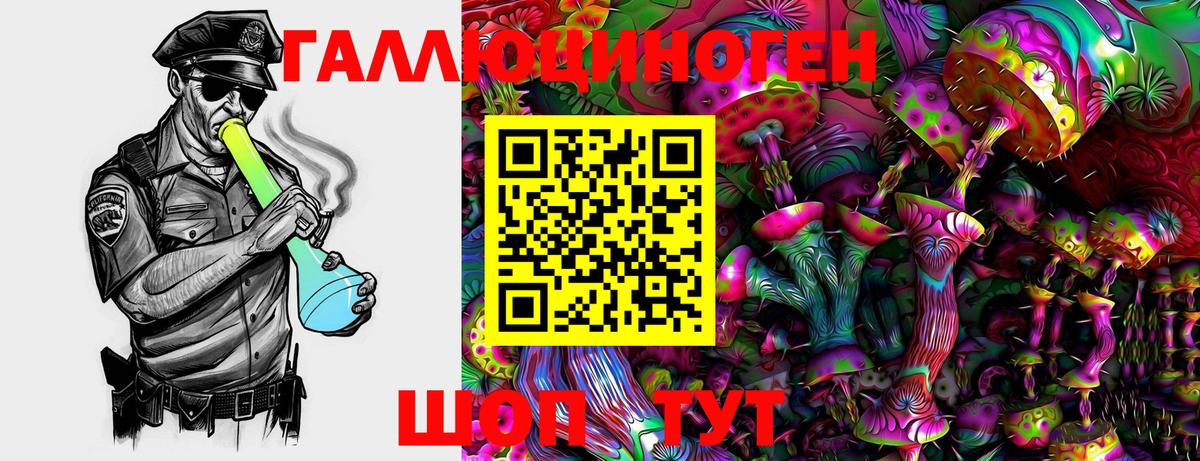 Псилоцибиновые грибы Psilocybe  Вход с VPN  Кыштым  Галлюциногенные грибы мухоморы 
